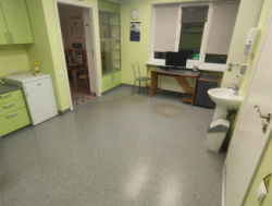 помещение под бизнес в центре города