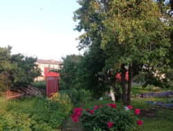 Сдам в аренду часть земли под склад