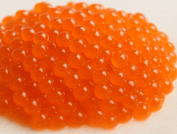 Свежая икра форели