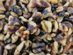 Грецкий орех