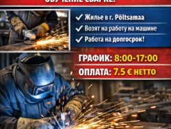 требуется зачистник