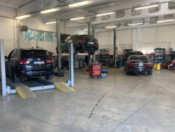 Предлагаю работу