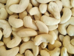 CASHEW NUTS