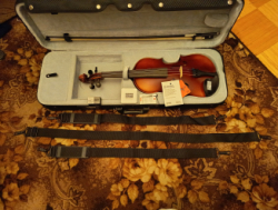 Viiul/ Скрипка GEWA