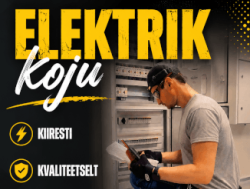 Professionaalsed elektritööd