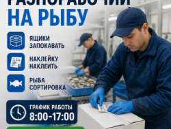 оператор на рыбу
