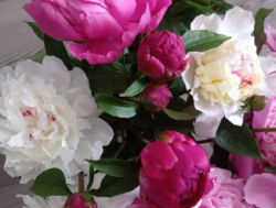 Проживание для строителей