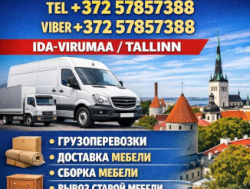 ГРУЗОПЕРЕВОЗКИ