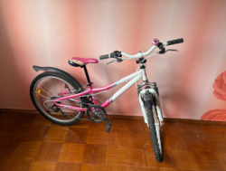 Roosa Jalgratas HAWAII EXPRESS poest